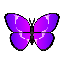:purple_butterfly: